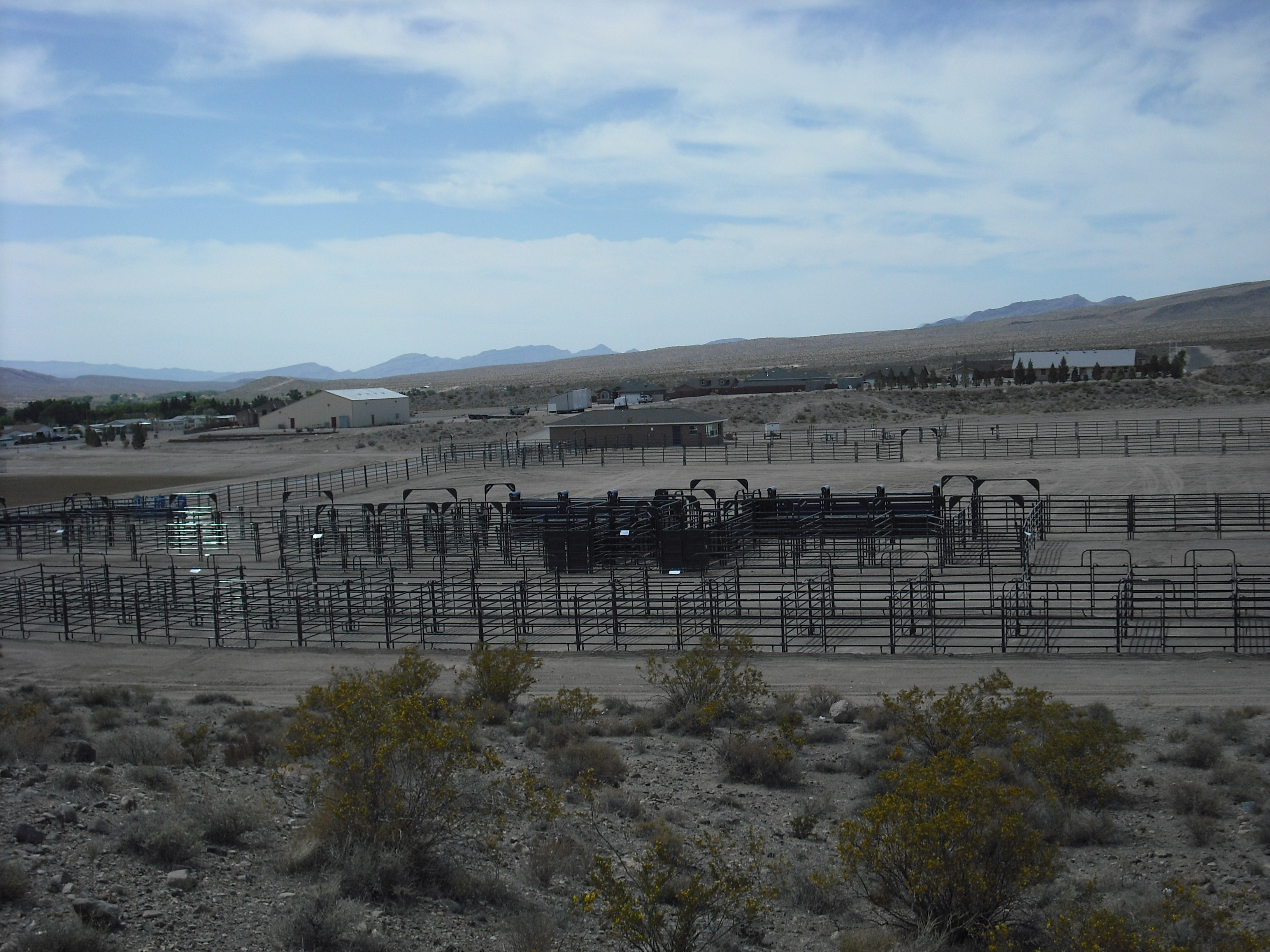 Arena Alamo NV 03.JPG